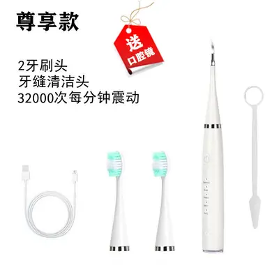 Ultrasonic dental scaler tartar and stain remover - 9
