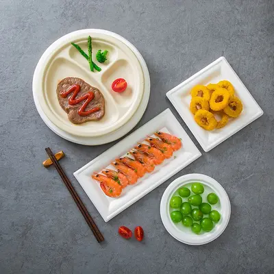 Disposable Eco-Friendly Paper Plates, Square and Oval, Picnic and BBQ - 5