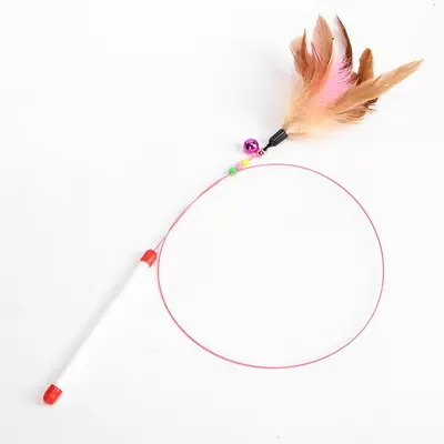 Wire Cat Teaser Wand with Replacement Feather Head, Self-Play Pet Toy - 6