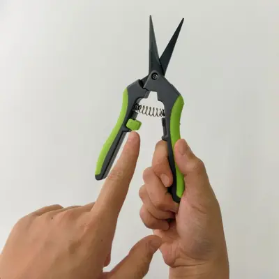 Stainless Steel Straight Blade Pruning Shears for Flowers and Fruit