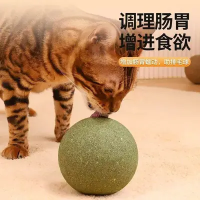 Extra Large Catnip Ball, Fresh Breath Cat Toy