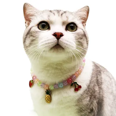 裂纹珠猫咪樱桃宠物项圈颈链公主风跨境宠物狗狗项圈