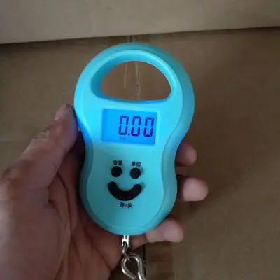 Toptan 803 yüksek hassasiyetli dijital terazi ev el çantası ölçeği kabak ölçeği 50 kg mini kanca ölçeği balıkçılık bagaj ölçeği - 3