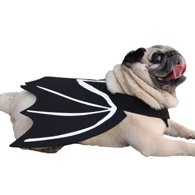 Bat Wing Halloween Costume for Pets, Dogs and Cats
