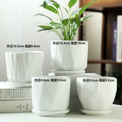 Ceramic Flower Pot, Large and Medium Sizes, White, for Phalaenopsis and Pothos - 8