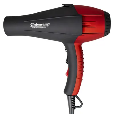 Jinbo Wang 9930 Professional Hair Dryer, Blue Light, Negative Ion
