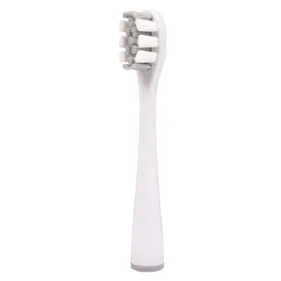 Replacement Brush Heads for US Series Electric Toothbrushes, Adult - 8