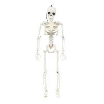 Halloween Skeleton Decoration 40cm Glow-in-the-Dark Clown Prop, 3D