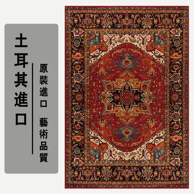 Turkish Style Non-Slip Bedroom Rug, Stain-Resistant, Thick Ethnic Pattern