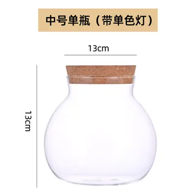 High Borosilicate Glass Hydroponic Plant Bottle, Desktop Vase and Betta Tank - 11