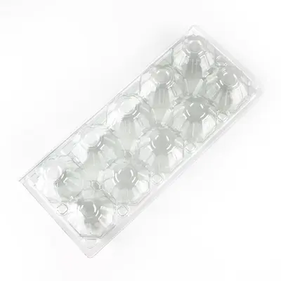 Transparent Plastic Egg Carton, Disposable, 10-Piece, for Chicken, Pigeon, Duck and Quail