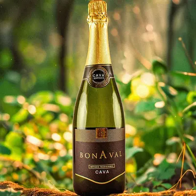 İspanyol Cava köpüklü şarap, 750 ml orijinal şişe, düğün ve parti için