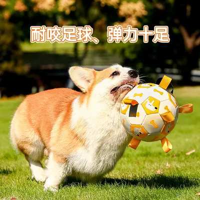 Interactive Football Dog Toy for Outdoor Use, Bite-Resistant - 3