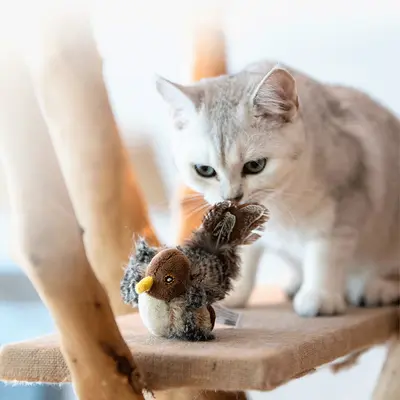 Sesli fare kedi oyuncağı, kuş ve arı modelli - 4