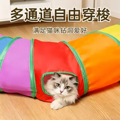 Rainbow Folding Maze Tunnel for Cats and Dogs - 2