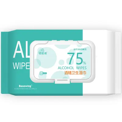 Mint Cooling Portable Wet Wipes for Summer - 7