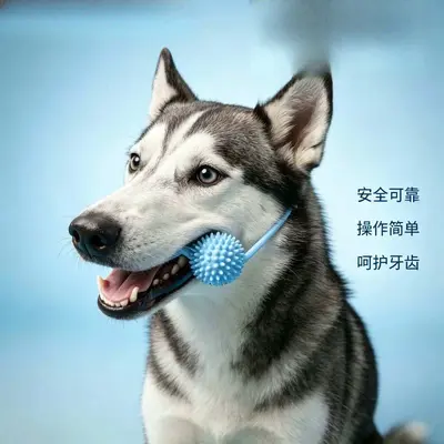 Köpekler için diş fırçalama yardımcısı, kauçuk çiğneme oyuncağı, diş taşı giderici - 3