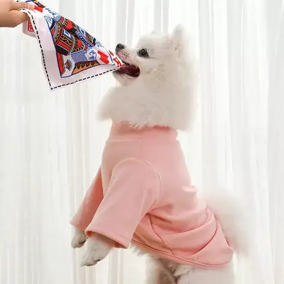 Simulated Newspaper Crinkle Paper Cat and Dog Toy - 4