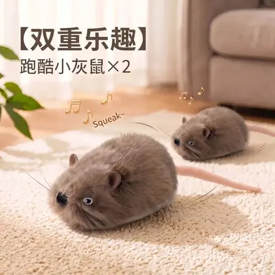 Elektrisches Simulations-Schildkröten-Spielzeug für Hunde und Katzen - 10