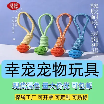 Pull-Along Treat Dispensing Dog Ball with Teeth-Cleaning Rope