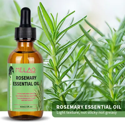 Biberiye yağı saç bakım yağı, saç derisi ve saç kökü onarımı, 30ml
