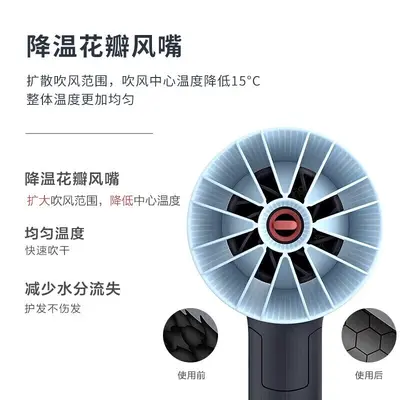 Philips BHD315 Foldable Hair Dryer with Negative Ion Technology