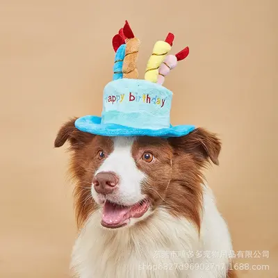Pet Birthday Hat Toy Cat and Dog New Year Gift Toy Amazon Hot New Style