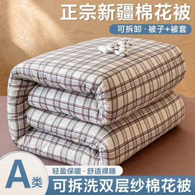 Class A Handmade Xinjiang Cotton Quilt, Single Size - 13