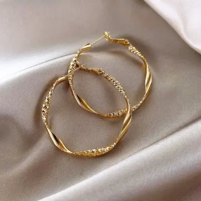 Gümüş iğne ışığı lüks üst düzey küpeler niş kişilik tasarımı kadınlar için abartılı küpeler moda mizaç küpeler toptan - 10