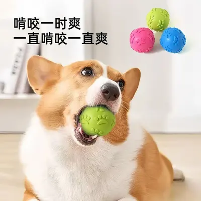 Durable Puppy Teething Training Ball with Squeaker - 3