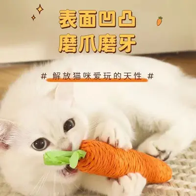 Havuç Çıngıraklı Kedi Oyuncağı, Kedi Oltası - 3
