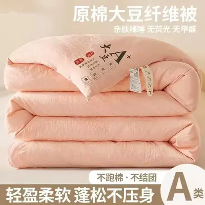 Class A Raw Cotton Soybean Fiber Thickened Quilt Core Spring Autumn Winter Cotton Quilt Student Dormitory Winter Quilt Gift Wholesale - 9