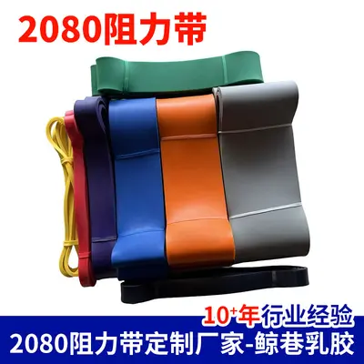 2080 Resistance Band Strength Training Fitness Men Women