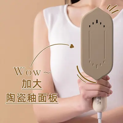 Zhigao Handsteamer mit Keramik-Platte, Hochleistung