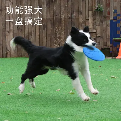 Meianju Dog Frisbee, Chew-Resistant, for Medium and Large Dogs - 3