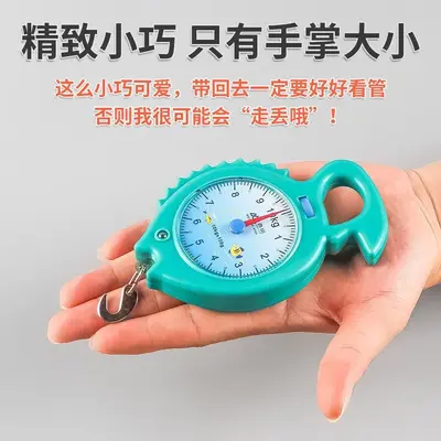 弹簧秤高精度手提称便捷式家用随身带小勾称小型手提多功能电子称
