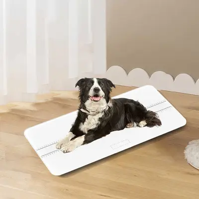 Yeni ev orta ve büyük evcil hayvan ölçeği fabrikası sınır ötesi evcil hayvan hastanesi kedi ve köpek tartı evcil hayvan elektronik tartı - 3