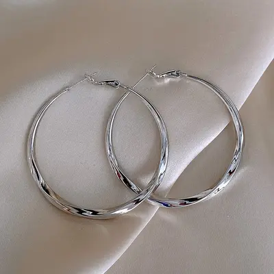Gümüş iğne ışığı lüks üst düzey küpeler niş kişilik tasarımı kadınlar için abartılı küpeler moda mizaç küpeler toptan - 12