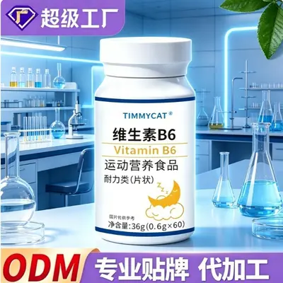 Vitamin B6 Tablets Sports Nutrition Supplement