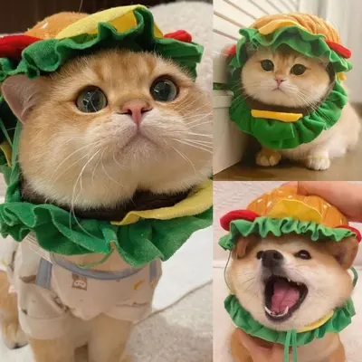Kedi ve köpekler için hamburger şapkası, komik kostüm