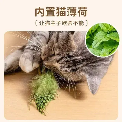 Sound Bird Cat Toy, Interactive Cat Teaser Wand with Bell - 5