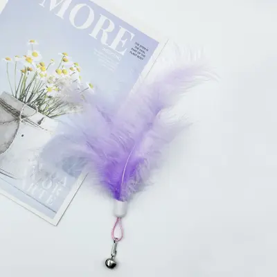 Feather Cat Teaser Wand Toy with Replacement Heads and Plush Pet Toy - 10