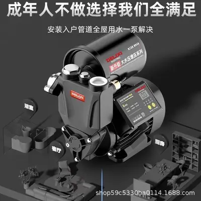 Delixi Household Silent Booster Pump 220V Self-Priming - 3