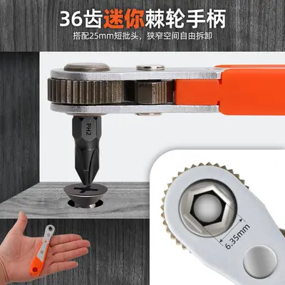 Ratchet screwdriver set with flat, Phillips and Torx bits - 5