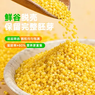 Organic Yellow Millet 2.5kg Spouted Pack, National Geographic Certified - 4