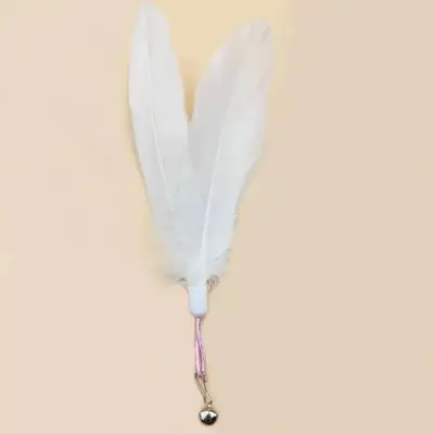 Cat Teaser Wand Long Pole Feather Replaceable Head, Bite Resistant - 13