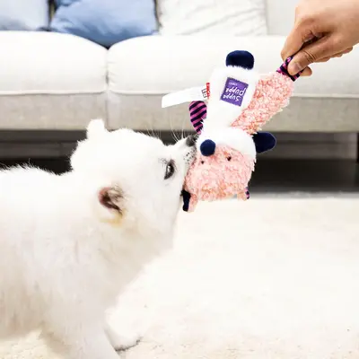 GiGwi Köpek Oyuncağı, Sesli Kağıt Aslan Tilki Rakun Peluş Çiğneme Oyuncağı - 3