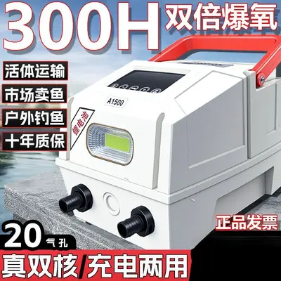 Rechargeable Outdoor Oxygen Pump, Lithium Battery, AC/DC Dual Power - 2