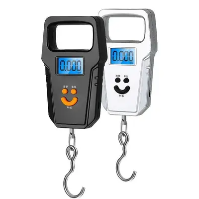 Electronic scale 50kg commercial portable with hook
