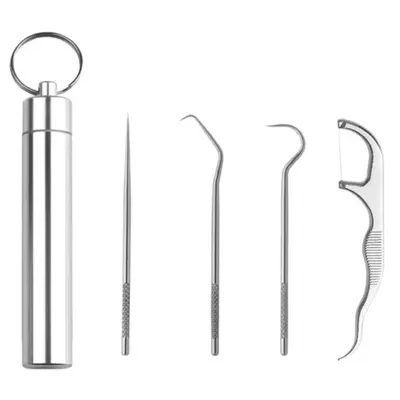 304 Stainless Steel Toothpick Set with Portable Tube